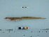  ( - PSRBC12-19)  @13 [ ] Copyright (2012) C. W. Mecklenburg Point Stephens Research