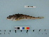  ( - PSRBC12-30)  @13 [ ] Copyright (2012) C. W. Mecklenburg Point Stephens Research