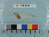  ( - PSRBC12-39)  @13 [ ] Copyright (2012) C. W. Mecklenburg Point Stephens Research