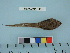  ( - BEAU2011-116a)  @12 [ ] Copyright (2012) C. W. Mecklenburg Point Stephens Research