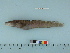  ( - BEAU2011-127a)  @11 [ ] Copyright (2012) C. W. Mecklenburg Point Stephens Research