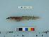 ( - BEAU2011-128a)  @11 [ ] Copyright (2012) C. W. Mecklenburg Point Stephens Research