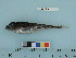  ( - BEAU2011-131a)  @12 [ ] Copyright (2012) C. W. Mecklenburg Point Stephens Research