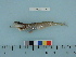  ( - BEAU2011-132a)  @13 [ ] Copyright (2012) C. W. Mecklenburg Point Stephens Research