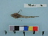  ( - BEAU2011-136a)  @12 [ ] Copyright (2012) C. W. Mecklenburg Point Stephens Research