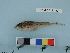  ( - BEAU2011-139a)  @13 [ ] Copyright (2012) C. W. Mecklenburg Point Stephens Research