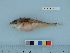  ( - BEAU2011-140a)  @13 [ ] Copyright (2012) C. W. Mecklenburg Point Stephens Research