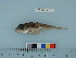  ( - BEAU2011-141a)  @13 [ ] Copyright (2012) C. W. Mecklenburg Point Stephens Research
