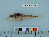  ( - BEAU2011-142a)  @13 [ ] Copyright (2012) C. W. Mecklenburg Point Stephens Research