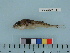  ( - BEAU2011-143a)  @13 [ ] Copyright (2012) C. W. Mecklenburg Point Stephens Research