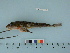  ( - BEAU2011-147a)  @12 [ ] Copyright (2012) C. W. Mecklenburg Point Stephens Research