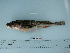 ( - BEAU2011-148a)  @13 [ ] Copyright (2012) C. W. Mecklenburg Point Stephens Research