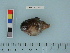  ( - BEAU2011-152a)  @12 [ ] Copyright (2012) C. W. Mecklenburg Point Stephens Research