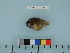  ( - BEAU2011-153a)  @12 [ ] Copyright (2012) C. W. Mecklenburg Point Stephens Research