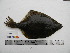  ( - PSRBC12-55)  @12 [ ] Copyright (2012) C. W. Mecklenburg Point Stephens Research