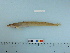  ( - PSRBC12-01)  @13 [ ] Copyright (2012) C. W. Mecklenburg Point Stephens Research