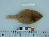  ( - PSRBC12-05)  @13 [ ] Copyright (2012) C. W. Mecklenburg Point Stephens Research