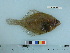  ( - PSRBC12-06)  @14 [ ] Copyright (2012) C. W. Mecklenburg Point Stephens Research