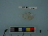 ( - RUSALCA12-03)  @13 [ ] Copyright (2012) C. W. Mecklenburg Point Stephens Research