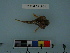  ( - RUSALCA12-04)  @12 [ ] Copyright (2012) C. W. Mecklenburg Point Stephens Research
