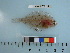  ( - RUSALCA12-10)  @14 [ ] Copyright (2012) C. W. Mecklenburg Point Stephens Research
