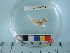  ( - RUSALCA12-15)  @13 [ ] Copyright (2012) C. W. Mecklenburg Point Stephens Research
