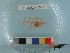  ( - RUSALCA12-17)  @14 [ ] Copyright (2012) C. W. Mecklenburg Point Stephens Research
