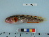  ( - RUSALCA12-43)  @13 [ ] Copyright (2012) C. W. Mecklenburg Point Stephens Research