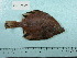  ( - UW048003A)  @11 [ ] Copyright (2015) C. W. Mecklenburg Point Stephens Research