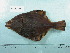  ( - UW048206)  @12 [ ] Copyright (2015) C. W. Mecklenburg Point Stephens Research