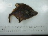  ( - UW150007)  @12 [ ] Copyright (2015) C. W. Mecklenburg Point Stephens Research