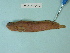  ( - UW150265)  @11 [ ] Copyright (2013) C. W. Mecklenburg Point Stephens Research