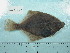  ( - UW150323)  @12 [ ] Copyright (2015) C. W. Mecklenburg Point Stephens Research