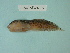  ( - UW150673)  @11 [ ] Copyright (2013) C. W. Mecklenburg Point Stephens Research