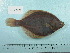  ( - UW150678)  @13 [ ] Copyright (2015) C. W. Mecklenburg Point Stephens Research