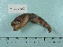  ( - UW150686)  @11 [ ] Copyright (2015) C. W. Mecklenburg Point Stephens Research