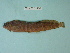  ( - UW150723)  @11 [ ] Copyright (2013) C. W. Mecklenburg Point Stephens Research