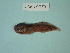  ( - UW151138)  @11 [ ] Copyright (2013) C. W. Mecklenburg Point Stephens Research