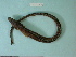  ( - UW151318)  @12 [ ] Copyright (2013) C. W. Mecklenburg Point Stephens Research