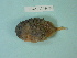  ( - UW151414)  @11 [ ] Copyright (2013) C. W. Mecklenburg Point Stephens Research
