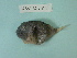  ( - UW151811)  @12 [ ] Copyright (2013) C. W. Mecklenburg Point Stephens Research