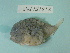  ( - UW151813)  @13 [ ] Copyright (2013) C. W. Mecklenburg Point Stephens Research