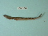  ( - UW151842)  @12 [ ] Copyright (2013) C. W. Mecklenburg Point Stephens Research