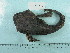  ( - UW152372)  @11 [ ] Copyright (2015) C. W. Mecklenburg Point Stephens Research