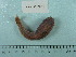  ( - UW153009)  @11 [ ] Copyright (2015) C. W. Mecklenburg Point Stephens Research