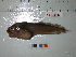  ( - Vp2013-38)  @13 [ ] Copyright (2013) C. W. Mecklenburg Point Stephens Research