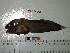  ( - Vp2013-66)  @13 [ ] Copyright (2013) C. W. Mecklenburg Point Stephens Research