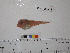  ( - Vp2013-83)  @12 [ ] Copyright (2013) C. W. Mecklenburg Point Stephens Research