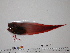  ( - Vp2013-97)  @12 [ ] Copyright (2013) C. W. Mecklenburg Point Stephens Research