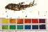  ( - OL-0155)  @13 [ ] CreativeCommons - Attribution (2009) Unspecified Centre for Biodiversity Genomics